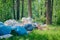 A pile of trash in the forest. breed protection. Plastic trash. The concept of environmental problems of environmental pollution