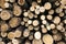 Pile of Tree trunks cutted background