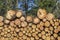 A pile of tree trunks recently cut down in a forest of Europe.