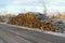 Pile of tree trunks by the roadside.