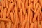 Pile of vibrant orange color carrots for background