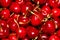 Pile of vibrant shiny detailed cherries close-up background pattern