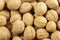 Pile of walnuts in shell, background wallpaper close-up. Nuts structured walnut shell texture. Healthy Protein Meal