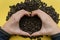 A pile of watermelon seeds on a yellow background in the shape of a heart