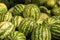 Pile of watermelons. Heap of watermelon at farmers market