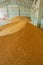 Pile of wheat corns in warehouse