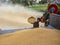 Pile of wheat & harvesting wheat