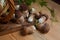 Pile of wild porcini mushrooms on wooden background at autumn season