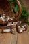 Pile of wild porcini mushrooms on wooden background at autumn season