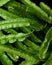 Pile of winged beans, full frame vegetable background