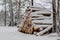 A pile of wood covered with snow. Winter coat, forest road and a