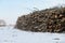 Pile of wood in a Danish nature reserve