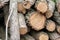 Pile of wood logs. Wooden energy industry concept. Stacked wood picture