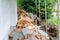 Pile of wood scraps cut up, or ready to be re-used and recycled, or otherwise considered junk rubbish. Wood from fence boards, or