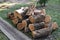 Pile of wooden logs on the ground.