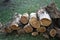 Pile of wooden logs on the ground.