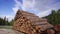 Pile of wooden logs in the middle of the mountains