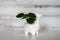 Pilea plant in a white ceramic vase shaped like a llama