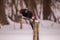 Pileated woodpecker in winter