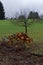 Piled firewood in a beautiful autumn landscape