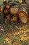 Piled firewood in a beautiful autumn landscape