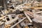 Piled in a pile of debris, pieces of boards