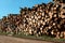 Piled up logs