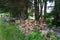 Piles of chopped wood and lumber at small sawmill on farm