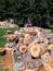 Piles of chopped wooden logs