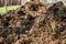 Piles of cow manure on the farm