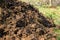 Piles of cow manure on the farm