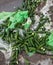 Piles of cucumbers on the landfill