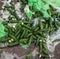 Piles of cucumbers on the landfill