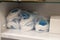 piles of disposable medical masks for doctors in plastic bags on hospital shelves