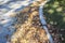 Piles of dried autumn leaves blown against a curb in residential district with some up on grass of a lawn and dappled shadows -