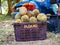 Piles of durian fruitin a black basket to sale at the market.