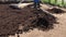Piles of fertile humus soil and man with rake leveling ground for lawn seeding