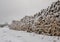 Piles of freshly cut logs under the snow, ready to be taken out of the forest