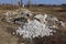 Piles of garbage made of white bricks and stones in gray dry grass in a field