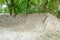 Piles of ground in deciduous forest, park, tire tracks