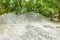 Piles of ground in deciduous forest, park, tire tracks