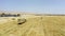 Piles of hay are getting collected by agricultural machines in haystack. Bale of wheats collect and loaded to transport