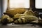 Piles of homemade bread placed on wooden table placed along kitchen window with sunlight morning consists of slice and bun, French