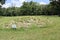 Piles of limestone forming the stone mound at Fort Ancient