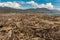 Piles and piles of driftwood washed ashore after a storm at sea on the West Coast of the South Island, New Zealand