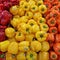 Piles of Red, Orange and Yellow Sweet Peppers