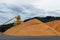 Piles of sawdust at a wood processing plant