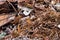 Piles of scrap metal bundled in bales