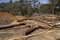 Piles of scrap wood at a small sawmill.