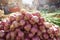 Piles of shallots Fresh produce showcased at a traditional market